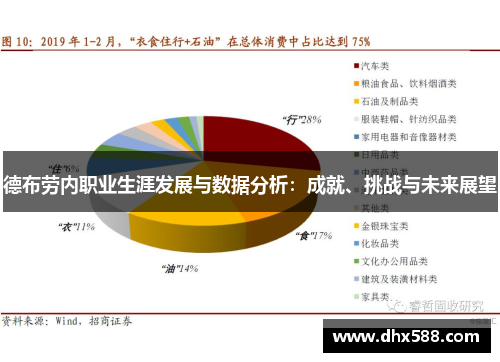 德布劳内职业生涯发展与数据分析：成就、挑战与未来展望